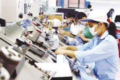Entreprises privées au Vietnam : augmentation à la fois de la quantité et de la qualité
