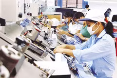 Entreprises privées au Vietnam : augmentation à la fois de la quantité et de la qualité