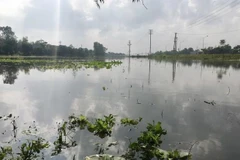 Les inondations font quatre morts et causent de lourdes pertes matérielles au Centre