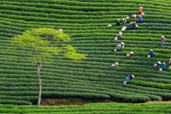 Le Vietnam, une des meilleures destinations pour les vacanciers de plus de 50 ans