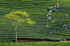 Le Vietnam, une des meilleures destinations pour les vacanciers de plus de 50 ans