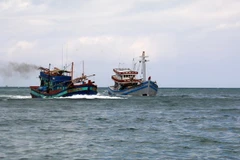 Quang Binh : Un bateau de pêche en détresse remorqué en toute sécurité