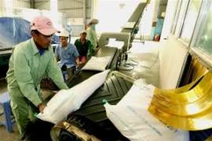 Le Vietnam au 4e rang de l'indice de sécurité alimentaire en Asie du Sud-Est