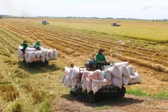 Répondre aux préoccupations en matière de sécurité alimentaire