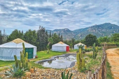 Tanyoli, une steppe mongole à Ninh Thuân