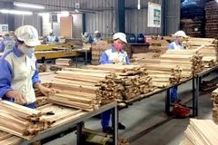 Les échanges commerciaux Vietnam – Afrique du Sud atteindra 2 milliards de dollars