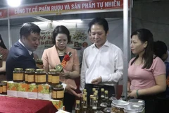 Ouverture de la Foire de l’Industrie et du Commerce du delta du fleuve Rouge - Hung Yen 2022