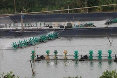 Construire une zone d'aquaculture pour l'exportation en aval de la rivière Tien