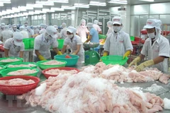 Bon début d'année pour Tien Giang en matière d'exportation