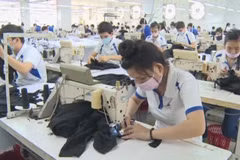 Tiên Giang : hausse de 14,5% des exportations au premier trimestre
