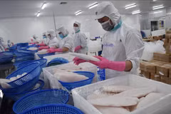 La production aquacole et halieutique atteint environ 2,6 millions de tonnes en quatre mois