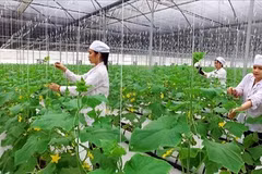 Édification de la Nouvelle ruralité à Thanh Hoa