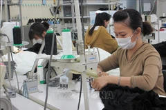 GoWell assiste les Vietnamiens dans la recherche d’un emploi au Japon