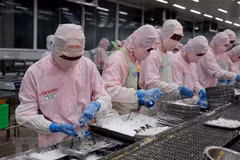Construire une chaîne d'approvisionnement de produits agricoles et aquatiques Vietnam-Yunnan