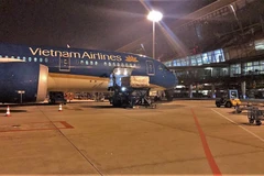 Près de 10 tonnes de litchis Bac Giang exportées vers le Japon par avion