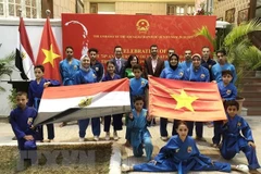Potentiel de coopération entre le Vietnam et l'Egypte