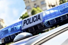 Deux citoyens vietnamiens arrêtés en Espagne se voient rendre leur passeport et quittent le pays