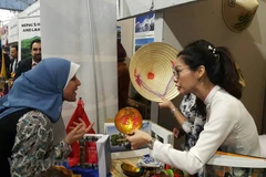 Le Vietnam présent à la fête culturelle Sakia 2019 au Caire