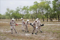 Quang Tri : déminage de plus de 275 millions de m2 de terres contaminées par des bombes et mines