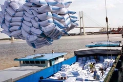 Montée en flèche des exportations vietnamiennes de riz en Indonésie en dix mois