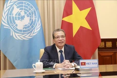 Le Vietnam promeut une coopération pratique et efficace avec le Moyen-Orient et l'Afrique