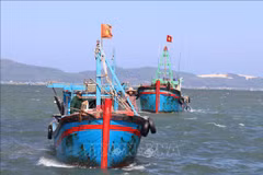 La province de Phu Yen renforce ses mesures contre la pêche INN