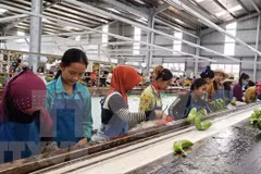 Promouvoir la coopération entre l'Argentine et l'ASEAN