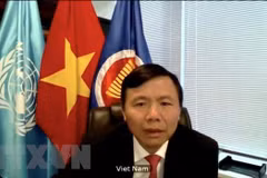Le Vietnam participe au vote de nouveaux juges à la Cour internationale de Justice