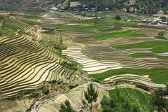 Mu Cang Chai, une peinture murale dans Nord-Ouest