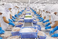 Le Vietnam et le Chili encouragent leur coopération de commerce et d'investissement