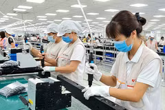 Startups : Da Nang cherche à intensifier ses liens avec le Japon