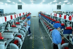 Les experts apprécient hautement les mesures de développement socio-économique du Vietnam
