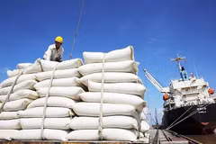 Les Philippines, premier importateur de riz vietnamien en neuf mois