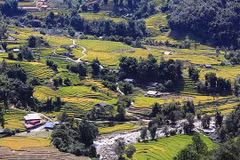 L’été à la vallée de Ta Van-Lao Chai impressionne les touristes