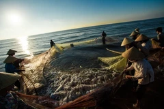 Construire un secteur des produits aquatiques intégré, durable et responsable