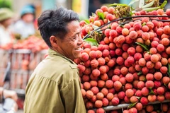Bac Giang renforce la promotion des marques locales et de ses produits agricoles