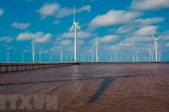 La BM propose une feuille de route pour l'éolien offshore du Vietnam