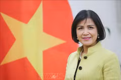 Le Vietnam préside la réunion du Conseil de coordination de l'ASEAN sur les travaux de l'OMC