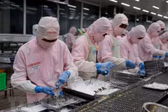 Vietnam - une destination importante pour les entreprises canadiennes