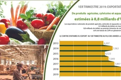 Exportations de produits agricoles, sylvicoles et aquatiques en baisse de 2,9% au premier trimestre