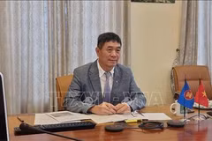 Le Vietnam participe à la 5e réunion Comité de partenariat pour le développement ASEAN-Allemagne 