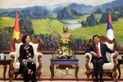 Une délégation du Parti communiste du Vietnam en visite au Laos