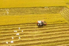 Le PM exhorte le delta du Mékong à avoir une vision stratégique du développement agricole