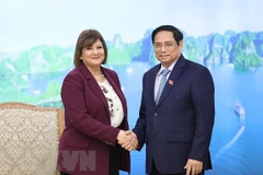 Le Premier ministre Pham Minh Chinh reçoit les ambassadeurs d'Égypte et de Mongolie