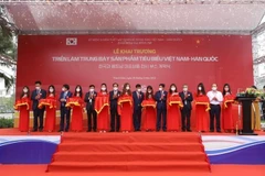 Exposition de produits typiques Vietnam – R. de Corée à Thanh Hoa