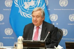 Le Vietnam et l'ONU renforcent leurs relations de partenariat