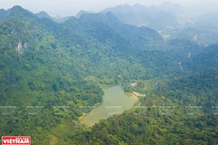 Cuc Phuong honoré pour la 4ème fois en tant que "Parc national le plus important d'Asie"