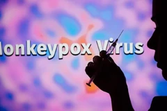 Le Vietnam n'enregistre pas de cas de Monkeypox (variole du singe)