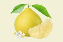 Le pamplemousse frais du Vietnam autorisé à exporter vers la République de Corée 