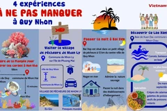 Quatre expériences à ne pas manquer à Quy Nhon